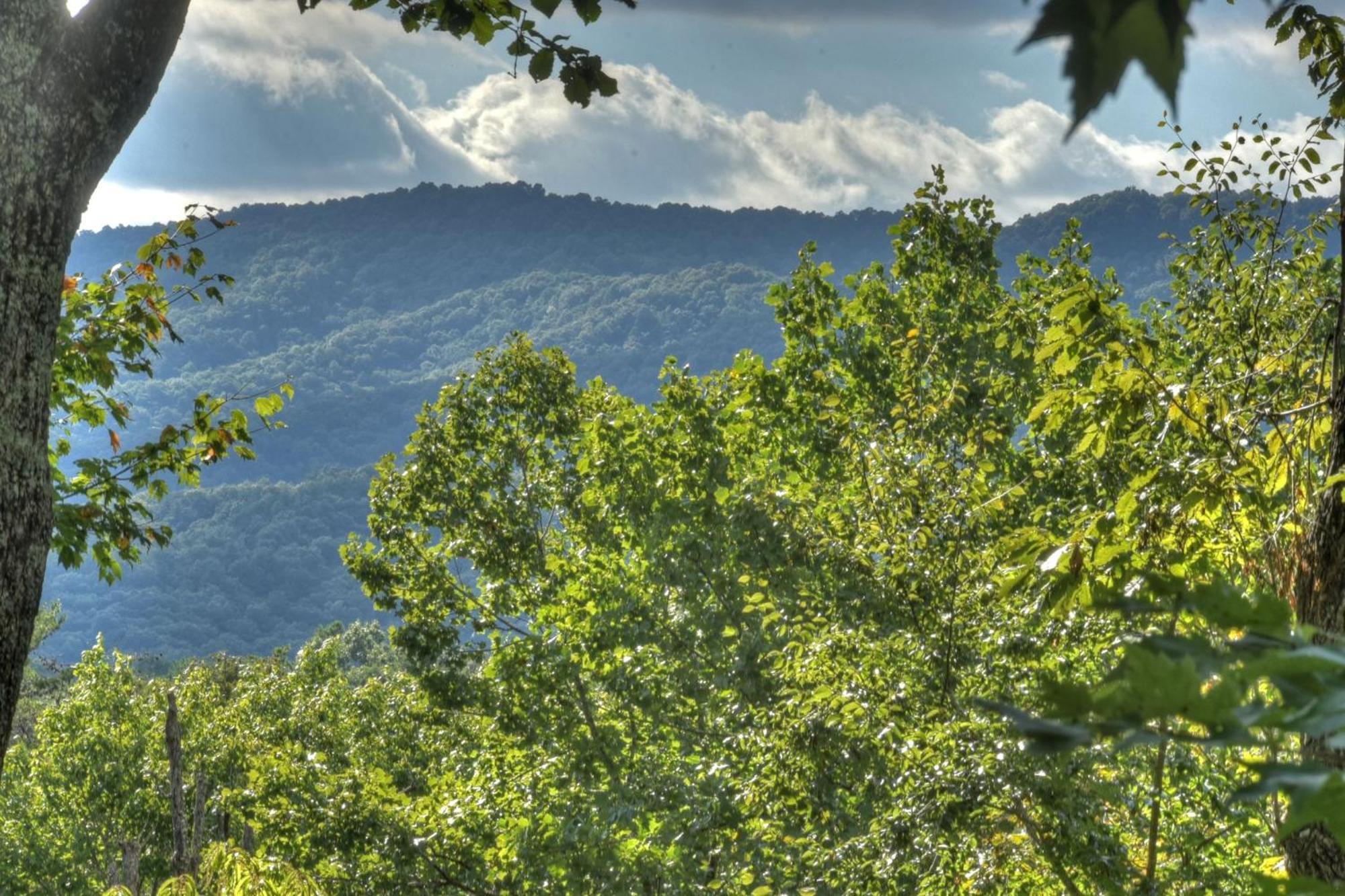 Bearfoot Ridge Wood-Burning Fireplace Cozy Hot Tub Serene Views Ellijay Exterior foto
